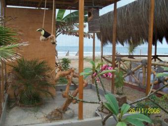 HOTEL  RESTAURANT & BAR ON  SELL Zorritos Beach