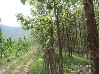 land in Sankamphang for sale Chiang Mai