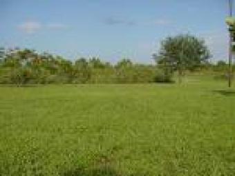 collage city plots for sale Trichy