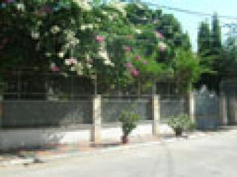 Villa For Rent Phnom Penh