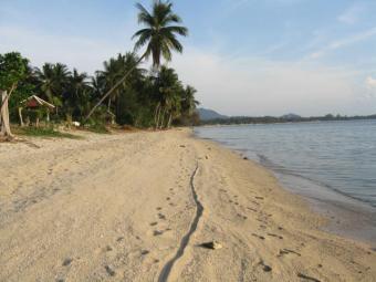Beautiful Bargain Beach land Ko Samui