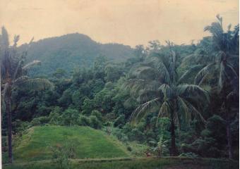 19 Hectares High Business Potent Iloilo