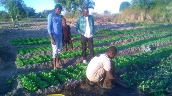 1,338hectors in chibombo Chibombo