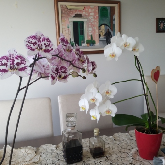 House in Archangelos for Sale Archangelos   Rhodes  South Aegean