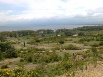 naivasha Naivasha