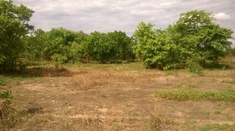 Plot of land chibombo Chibombo