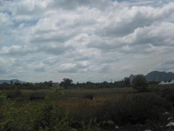 Plot of land Petchburi Petchburi