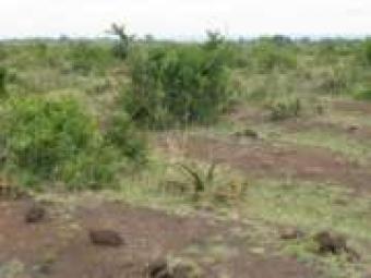 Plot of land Machakos Machakos