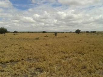 Plot of land Nairobi Nairobi