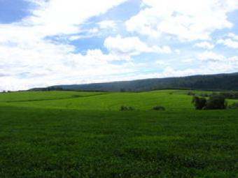 Business Kericho Kericho