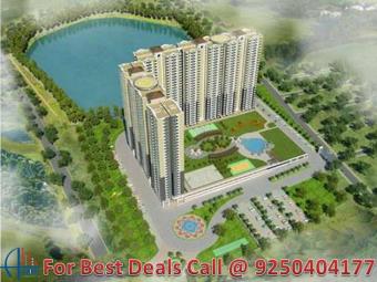 Apartment / Flat Gurgaon Gurgaon