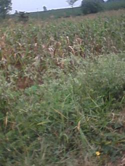 Plot of land Kiambu Road Kiambu Road