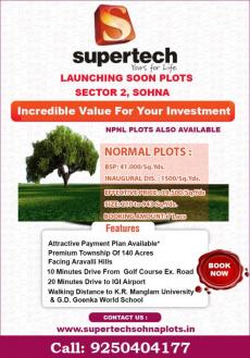 Plot of land Gurgaon Gurgaon