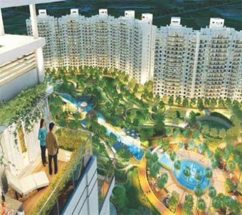 Apartment / Flat Gurgaon Gurgaon
