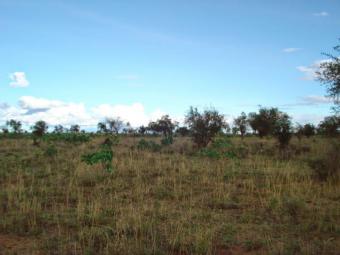 Plot of land Naivasha Naivasha