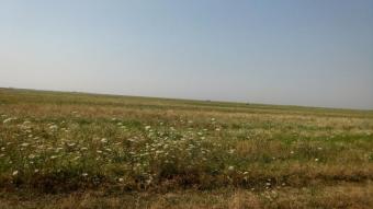 Plot of land Slatina Slatina