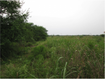 Plot of land Montemorelos Montemorelos