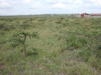 Plot of land Nairobi Nairobi
