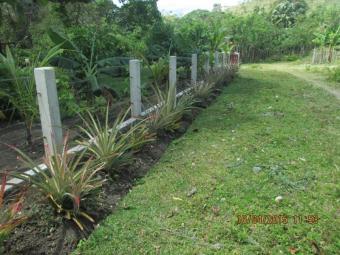 Plot of land Imbert Imbert