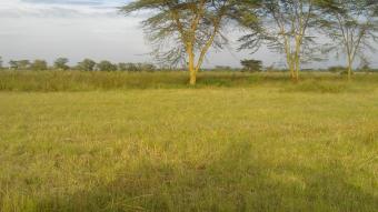 Plot of land Nakuru Nakuru