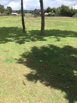 Plot of land Total, Ongata Rongai Total, Ongata Rongai
