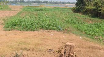 Plot of land Kandal Kandal
