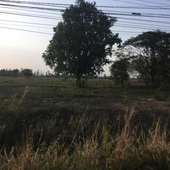 Plot of land Vientiane Vientiane