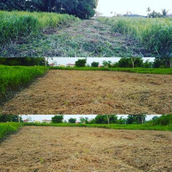 Plot of land Piarco Piarco