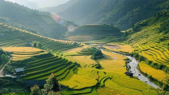 House Jakarta Pusat Jakarta Pusat