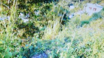 Plot of land Deigo Martin Deigo Martin