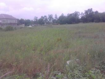 Plot of land osakpa London lekki Osakpa London Lekki