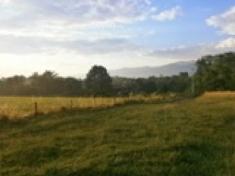 Land  in Spuz,Danilovgrad Spuz,danilovgrad