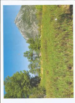 Plot of land Fethiye, �Z�ML� Fethiye, �z�ml�