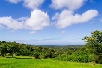 Plot of land Port Elizabeth Port Elizabeth
