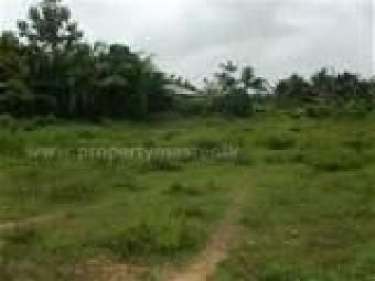 Plot of land nairobi wanyee road Nairobi