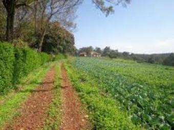 Plot of land nairobi waithaka Nairobi Waithaka