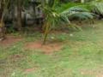 Plot of land Colombo Colombo