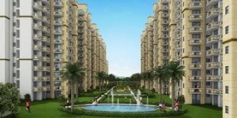 Apartment / Flat Gurgaon Gurgaon