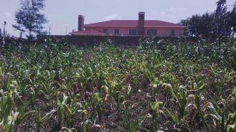 Plot of land Nairobi Nairobi