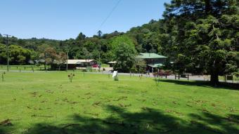 Plot of land Bracewell via Gladstone Qld Bracewell Via Gladstone Qld