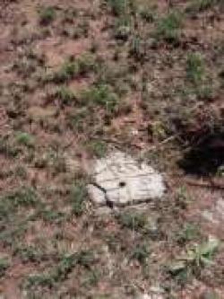 Plot of land Thika Thika
