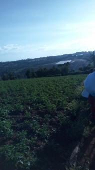 Plot of land Nakuru Nakuru