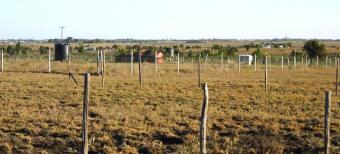 Plot of land Nairobi Nairobi