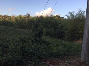 13 Acres land Carmichael Sangre Carmichael