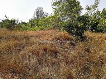 Plot of land Near Kannur AirPort Kannur Mattannur