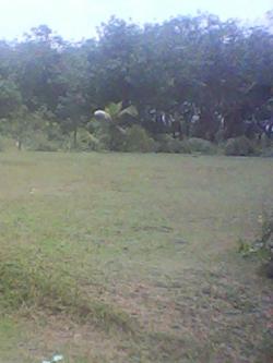 Beautiful land for sale Kalutara