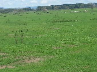 Plot of land Nairobi Hill Nairobi Hill