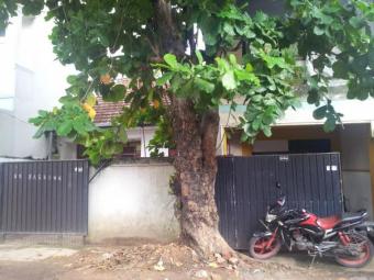 Plot of land Colombo 05 Colombo 05