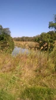 Plot of land Mkushi Mkushi