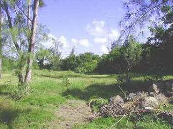 Plot of land Hikkaduwa patuwatha Hikkaduwa Patuwatha